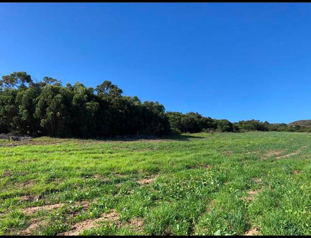 FARM FOR SALE IN BAARDSKEERDERSBOS